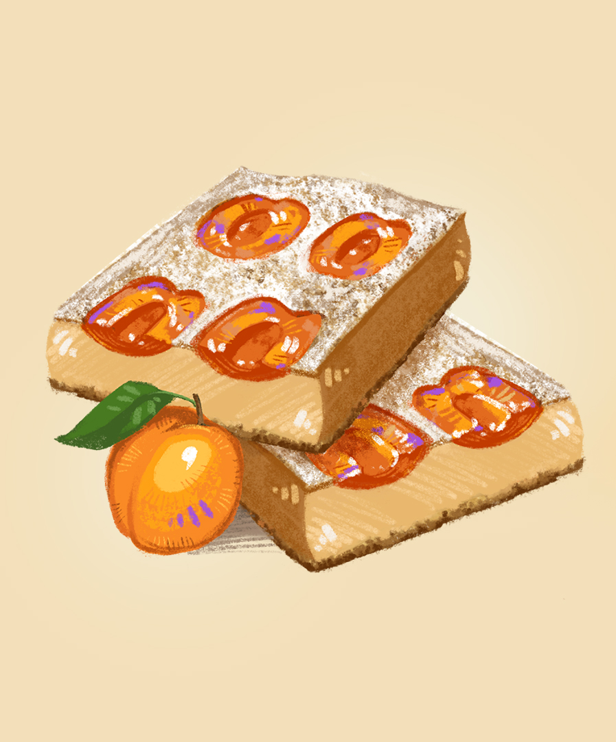 Aprikosenkuchen_Illustr.3